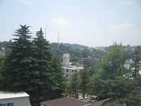Sendai